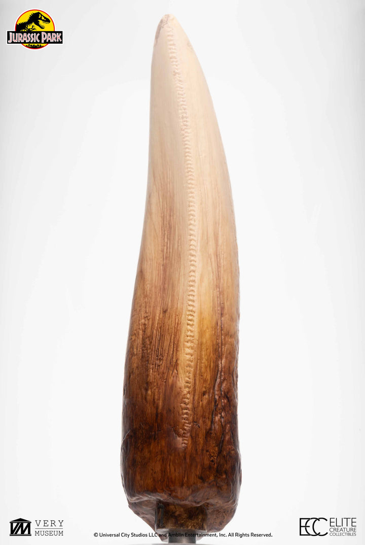 Official Jurassic Park Screen Used T-Rex Tooth Limited Edition Of 500 Worldwide Reproduction