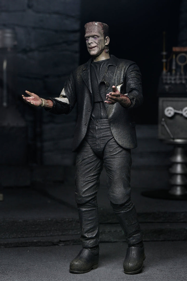 Universal Monsters (Colour) Bride of Frankenstein: Monster and His Mate 90th Anniversary Limited Edition 2 Piece 7" Scale Action Figures (Pre-Order February 2026)
