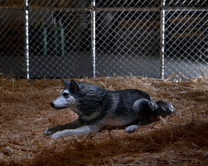 NECA The Thing Dog Creature Ultimate Deluxe 7" Scale Action Figure