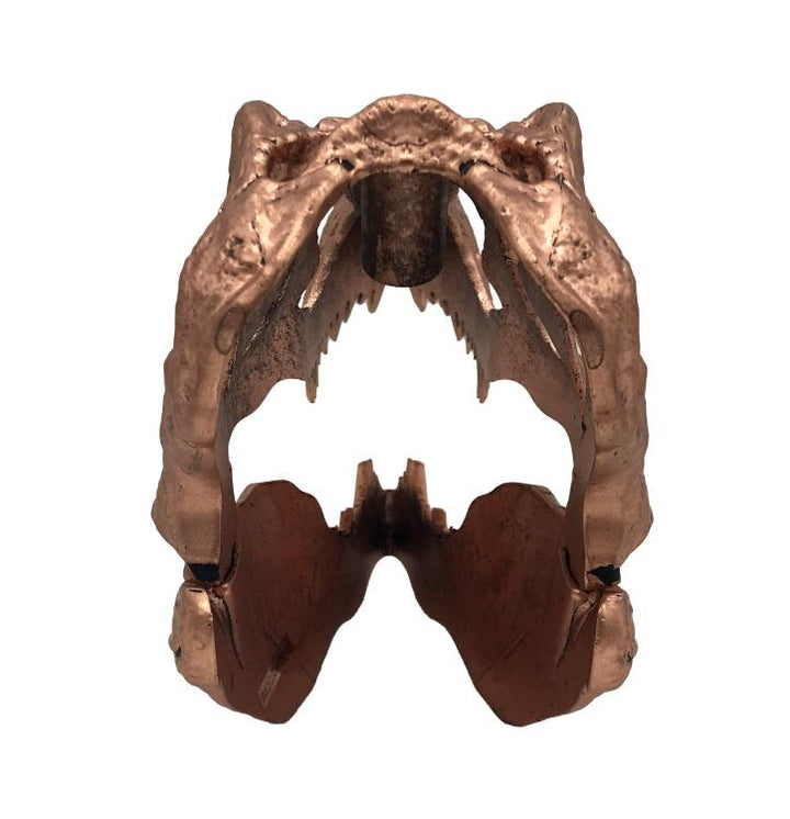 Jurassic Park T-Rex Skull Scaled Prop Replica