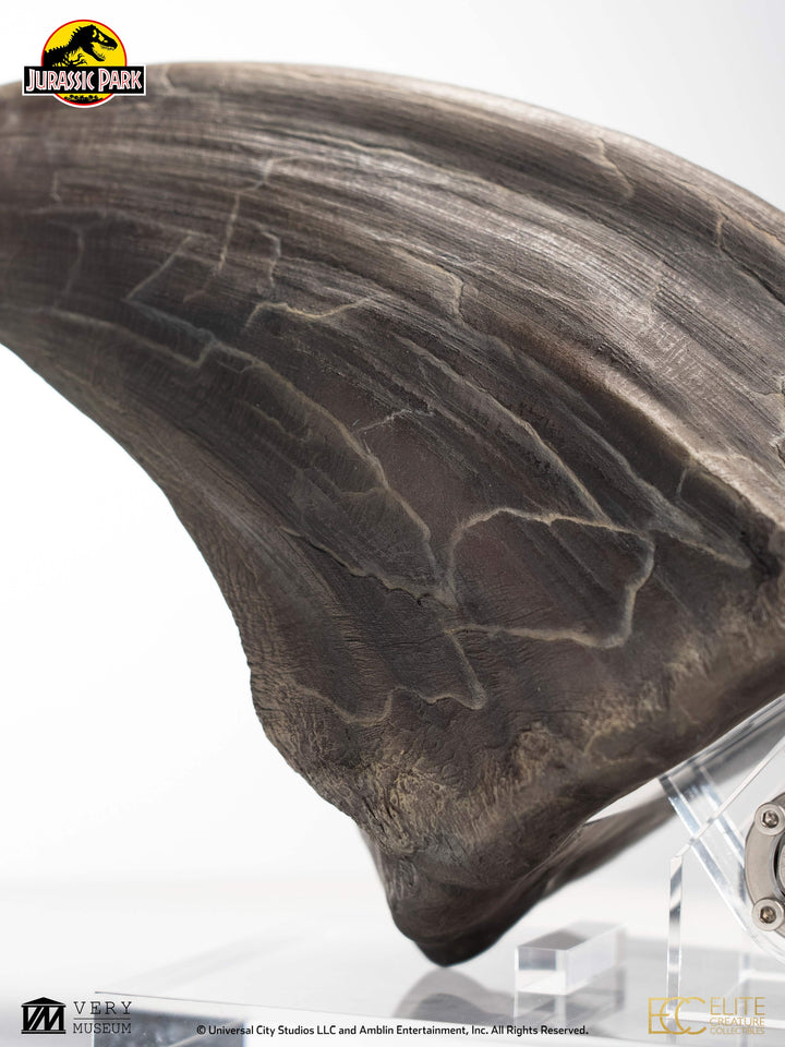 Official Jurassic Park Screen Used T-Rex Foot Claw Limited Edition Of 99 Worldwide Reproduction