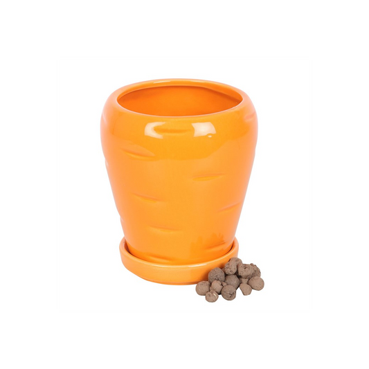Carrot Shaped Plant Pot with Parsley Seed Balls, alternate view