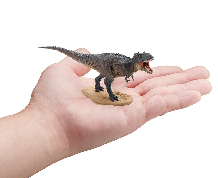F toys Dinosaur Master 3 Realistic Dinosaur Figure Set (6-Pack)