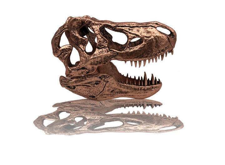 Jurassic Park T-Rex Skull Scaled Prop Replica