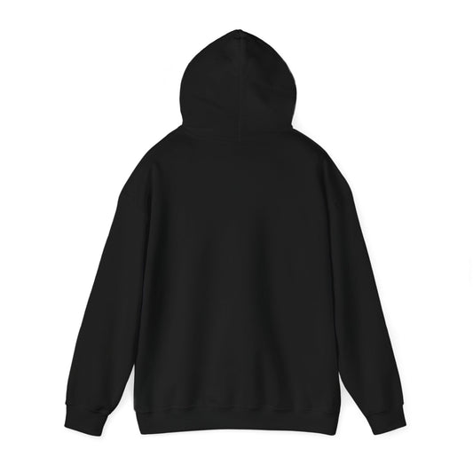 'Just for the Record' Men's Hoodie