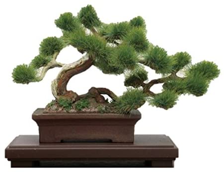 The Bonsai Tree Model Kit 1/12 Scale Plastic Model Kit