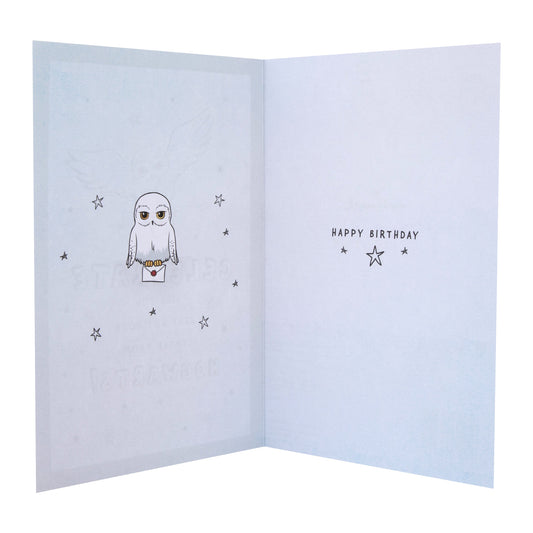General Birthday Card - Harry Potter™ Hedwig & Letter Design