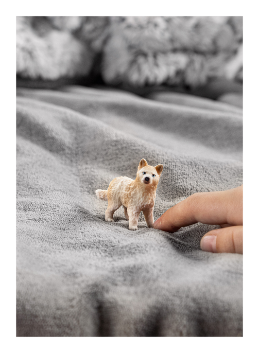 Schleich - Artic Wolf Cub - Image