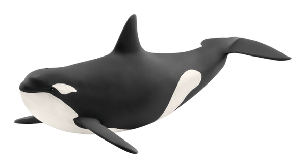 Schleich Killer Whale