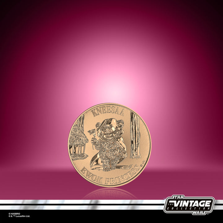 Star Wars The Vintage Collection Wicket & Kneesaa