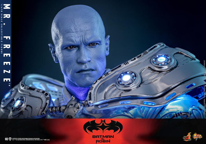 Hot Toys Batman & Robin Mr. Freeze (Deluxe Version) 1/6th Scale Figure