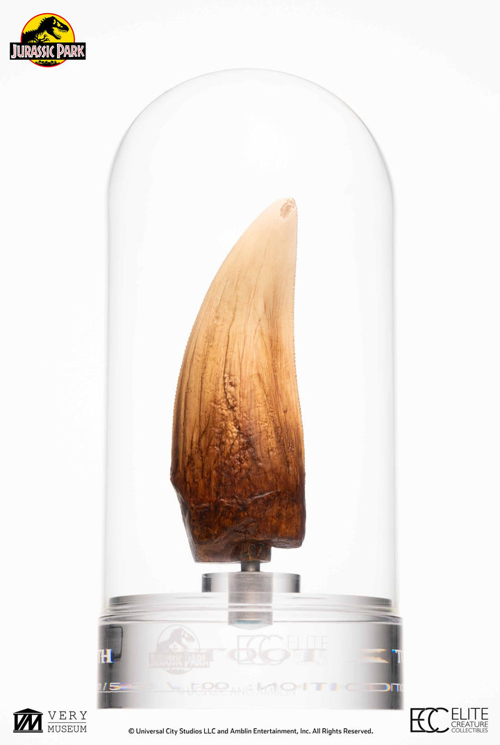 Official Jurassic Park Screen Used T-Rex Tooth Limited Edition Of 500 Worldwide Reproduction