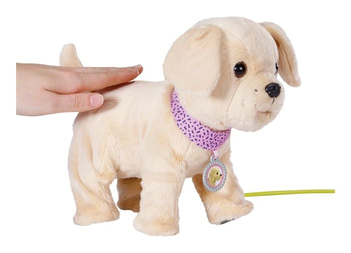 Baby Born My Dog Lucky Playset with Box