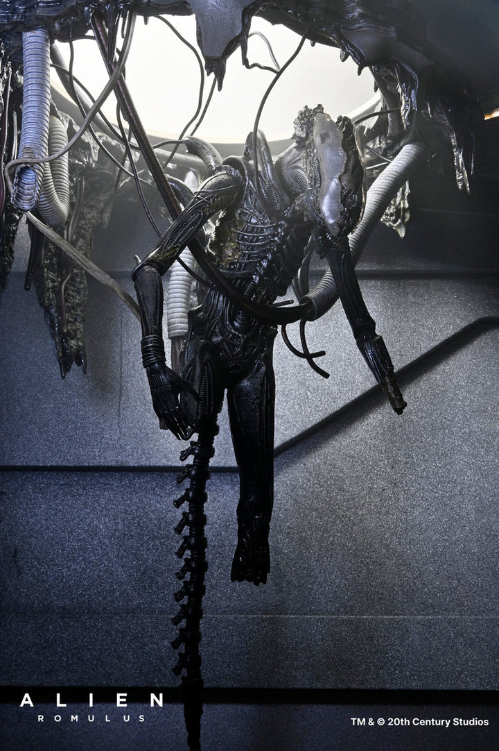 Alien: Romulus Suspended Lab Xenomorph XX121 Deluxe 7" Scale Action Figure (Pre-Order August 2025)
