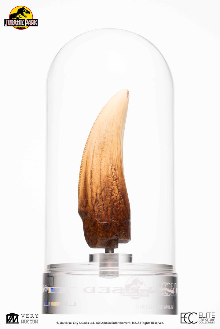 Official Jurassic Park Screen Used T-Rex Tooth Limited Edition Of 500 Worldwide Reproduction