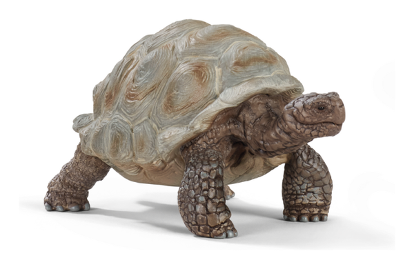 Schleich Giant Tortoise