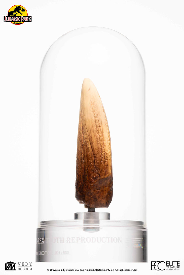 Official Jurassic Park Screen Used T-Rex Tooth Limited Edition Of 500 Worldwide Reproduction
