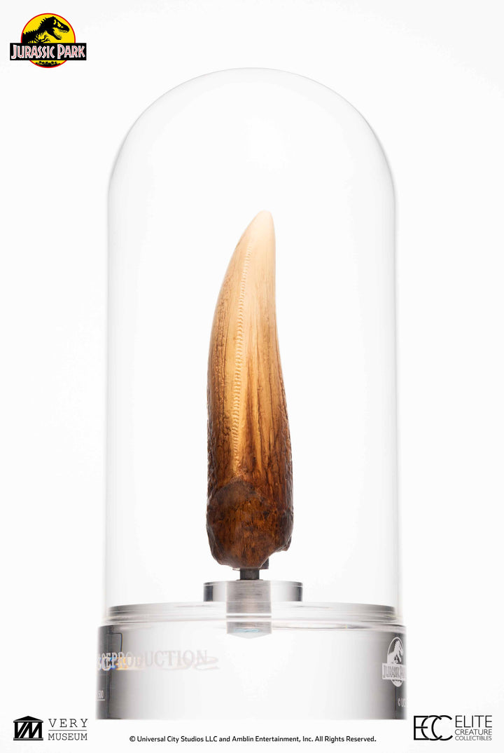 Official Jurassic Park Screen Used T-Rex Tooth Limited Edition Of 500 Worldwide Reproduction