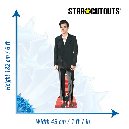 Harry Styles Red Shoes Height 182cm Lifesize Cardboard Cut Out With Mini, alternate view