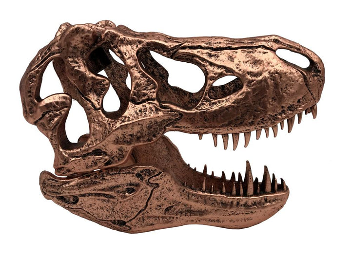 Jurassic Park T-Rex Skull Scaled Prop Replica