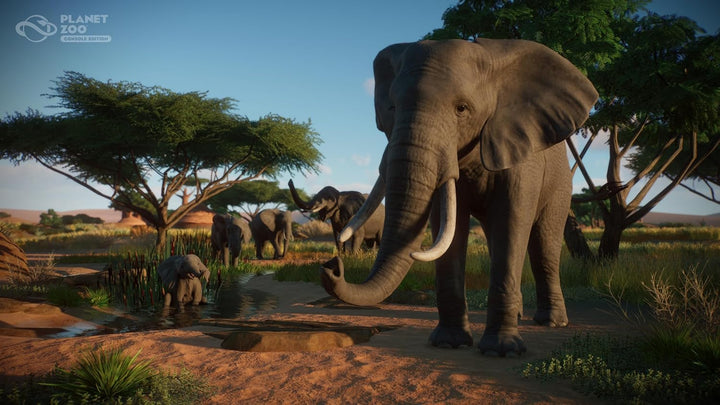 Planet Zoo (Xbox Series X) Console Edition