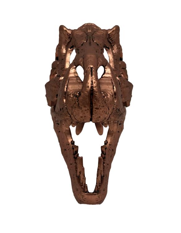 Jurassic Park T-Rex Skull Scaled Prop Replica