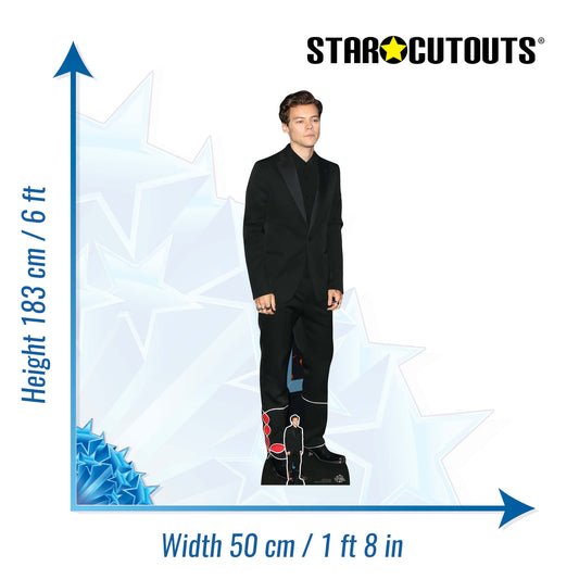 Harry Black Suit Height 183cm Lifesize Cardboard Cut Out With Mini, alternate view
