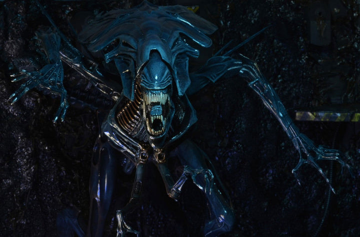 Alien Xenomorph Queen Deluxe Boxed Action Figure - Infinity Collectables  - #tag1#