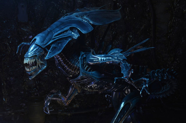 Alien Xenomorph Queen Deluxe Boxed Action Figure - Infinity Collectables  - #tag1#