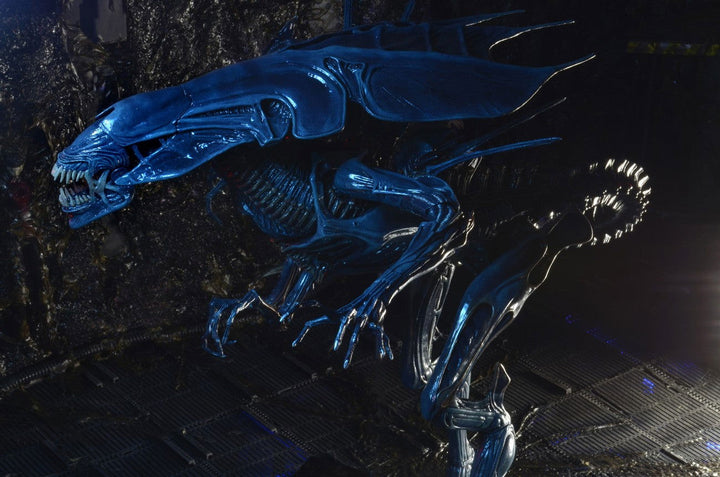 Alien Xenomorph Queen Deluxe Boxed Action Figure - Infinity Collectables  - #tag1#
