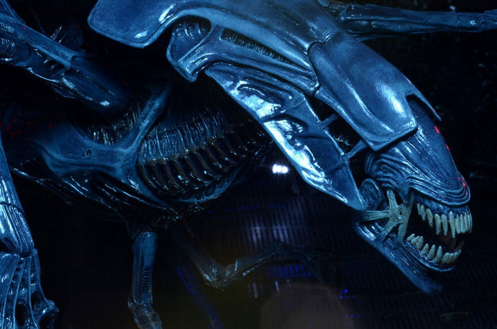 Alien Xenomorph Queen Deluxe Boxed Action Figure - Infinity Collectables  - #tag1#