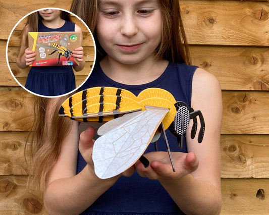 Honey Bee - build Your Own, alternate view