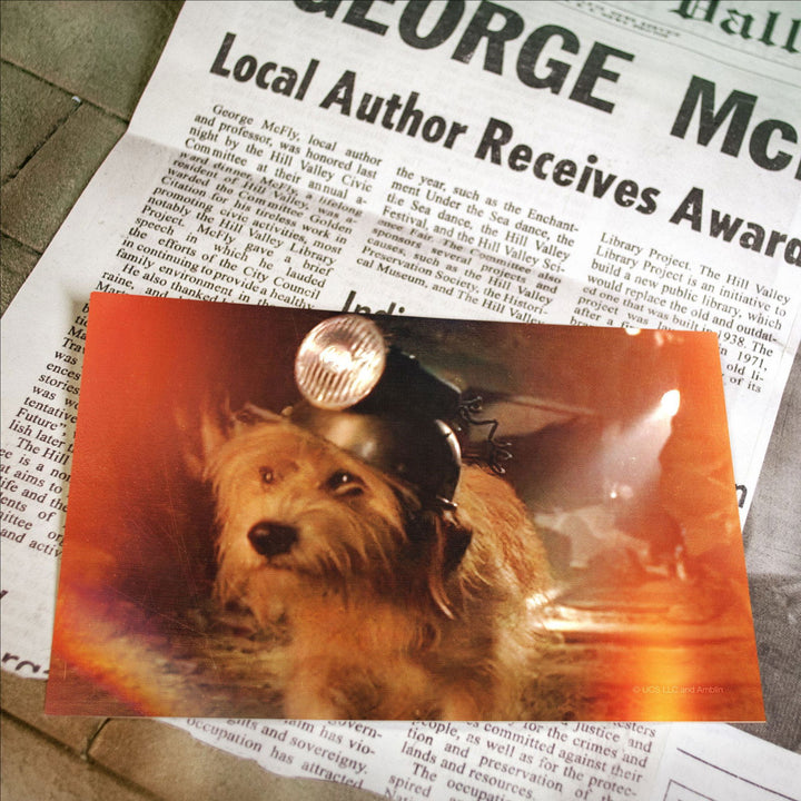 Back To The Future Time Travel Memories II Expansion Kit Collectors Box Set - Infinity Collectables  - #tag1#