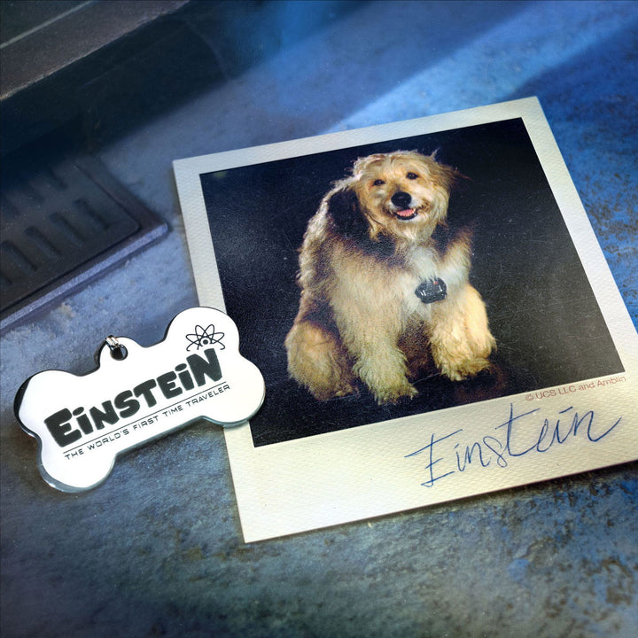 Back To The Future Time Travel Memories II Expansion Kit Collectors Box Set - Infinity Collectables  - #tag1#