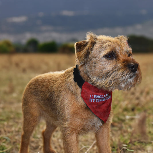 England Red Lion Pattern - Dog Bandana - 4 Sizes, alternate view