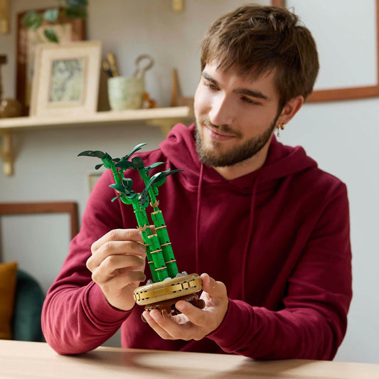 Lego Botanicals 10344 Lucky Bamboo Building Set for Adults Age 18 & Up, alternate view