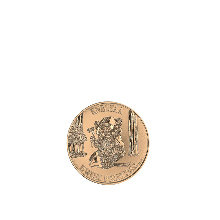 Star Wars The Vintage Collection Wicket & Kneesaa