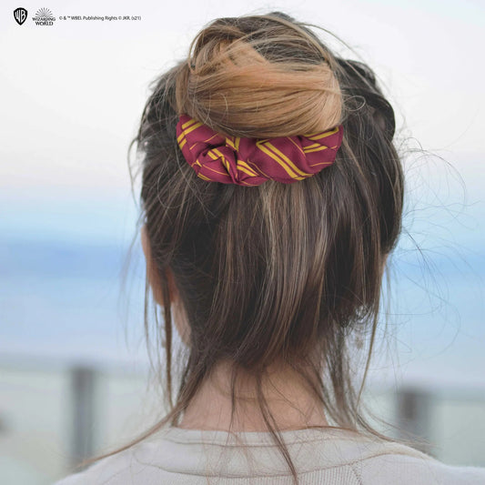 Harry Potter Classic Gryffindor Hair Accessories Set, alternate view