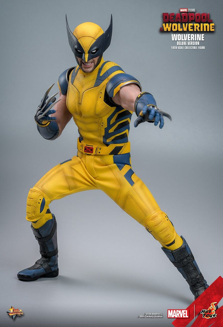 Hot Toys Deadpool & Wolverine Wolverine 1/6th Scale Deluxe Figure