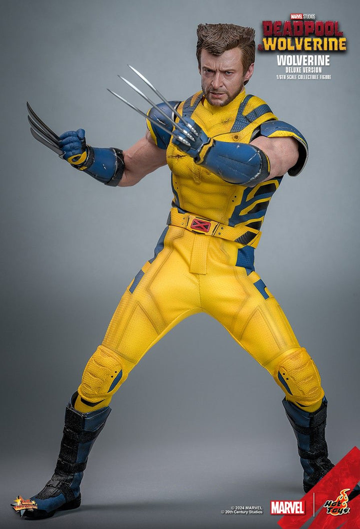 Hot Toys Deadpool & Wolverine Wolverine 1/6th Scale Deluxe Figure