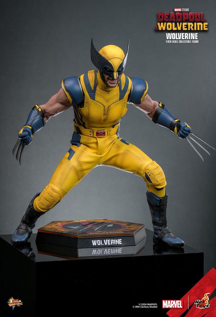 Hot Toys Deadpool & Wolverine Wolverine 1/6th Scale Figure