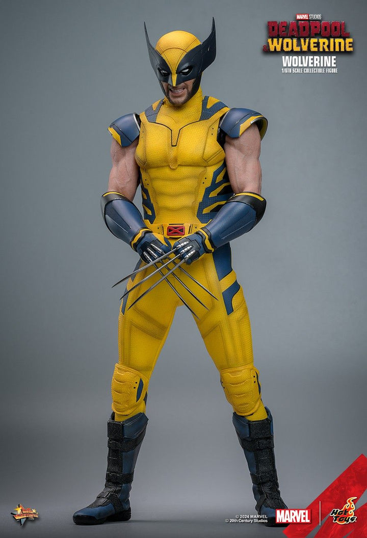 Hot Toys Deadpool & Wolverine Wolverine 1/6th Scale Figure