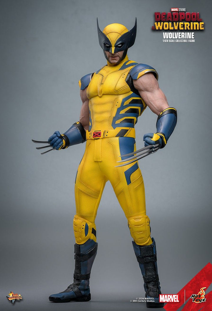 Hot Toys Deadpool & Wolverine Wolverine 1/6th Scale Figure