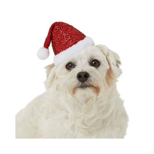 Pet Santa Hat, alternate view