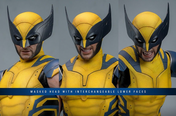 Hot Toys Deadpool & Wolverine Wolverine 1/6th Scale Figure