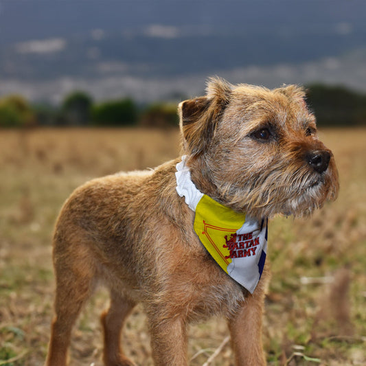 The Tartan Army Rip - Dog Bandana - 4 Sizes, alternate view