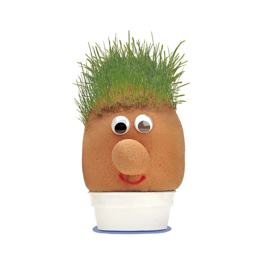 Mr Grass Head - Educational Science Kit, alternate view
