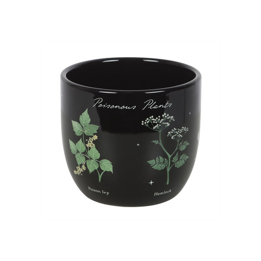 Poisonous Plants Plant Pot, alternate view