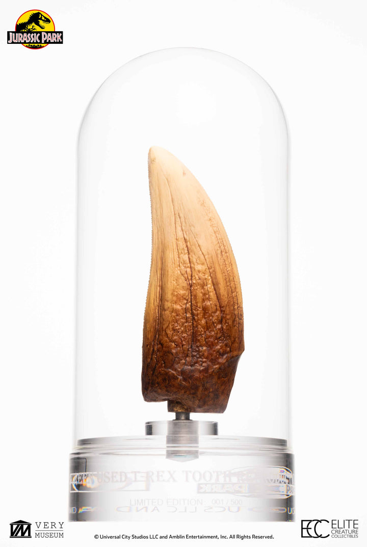 Official Jurassic Park Screen Used T-Rex Tooth Limited Edition Of 500 Worldwide Reproduction