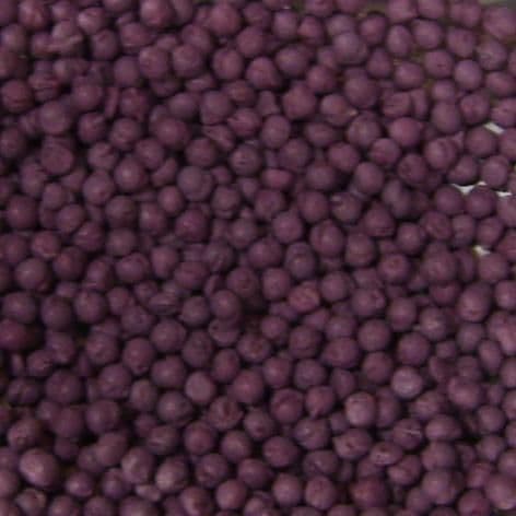 Millions Blackcurrant, alternate view